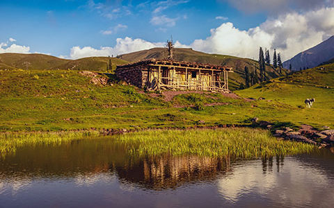 Siripaye Meadows Excursion